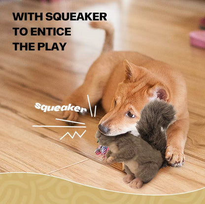 Squirrel with a squeaker