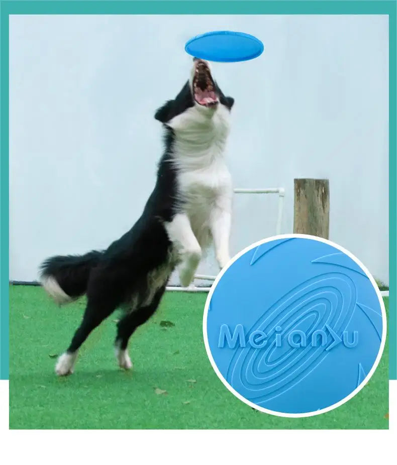 Bite Resistant Flying Disc Toys For Dog